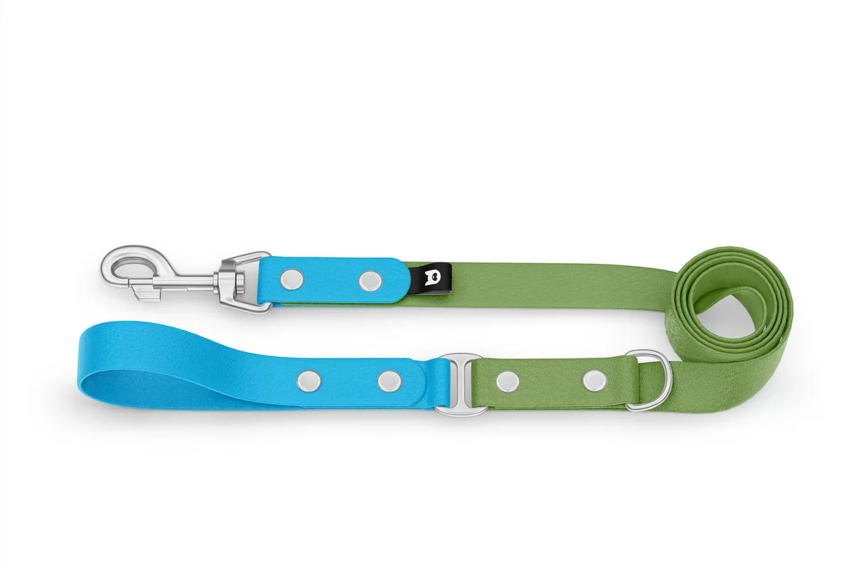 Duo-Leine für Hunde: Hellblau & Oliv mit Komponenten aus Silber
