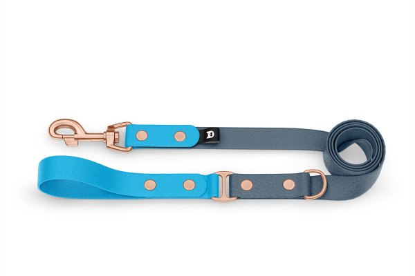 Duo-Leine für Hunde: Hellblau & Petrol mit Komponenten aus Rosegold