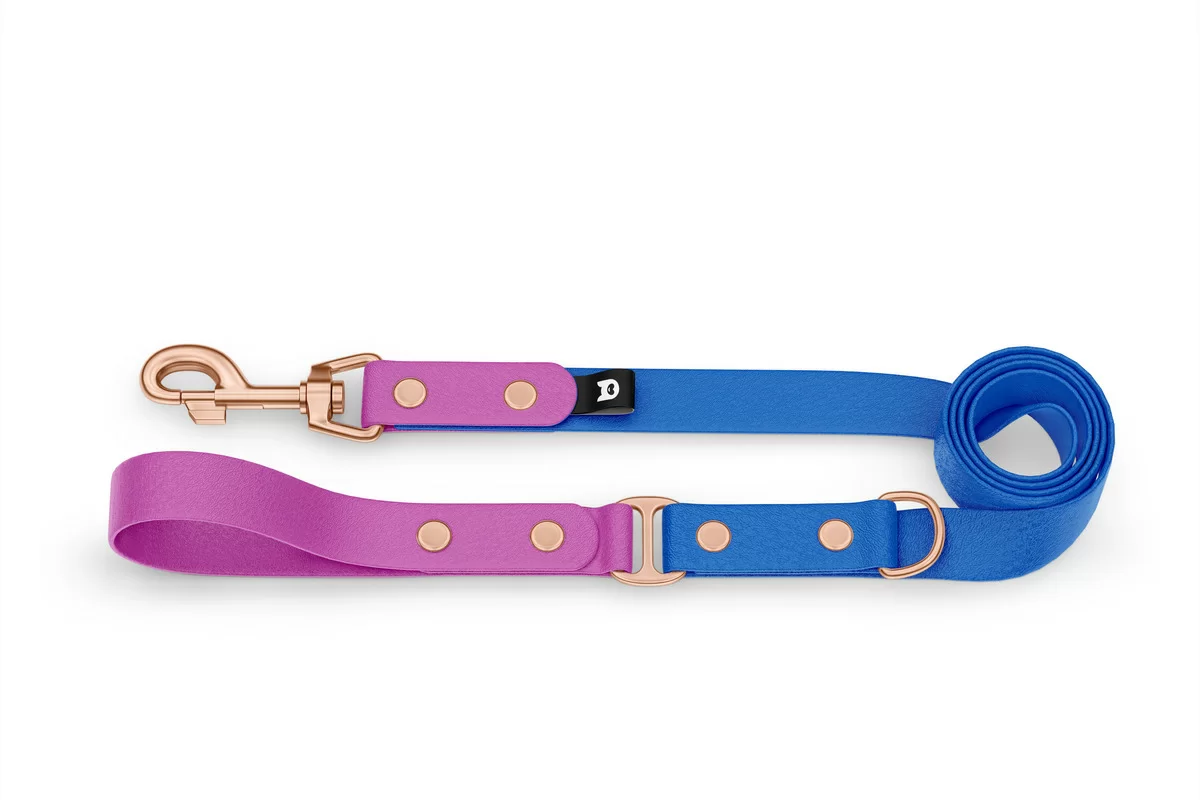 Duo-Leine für Hunde: Hellviolett & Blau mit Komponenten aus Rosegold