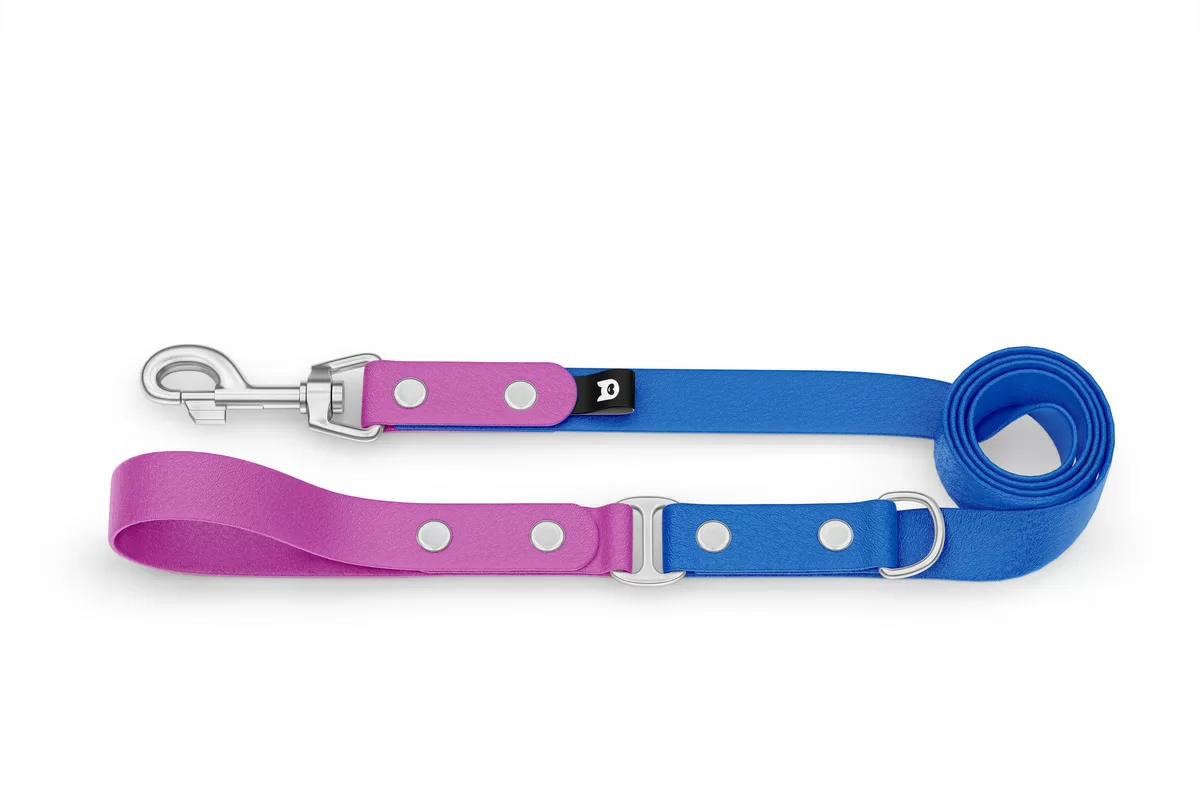 Duo-Leine für Hunde: Hellviolett & Blau mit Komponenten aus Silber
