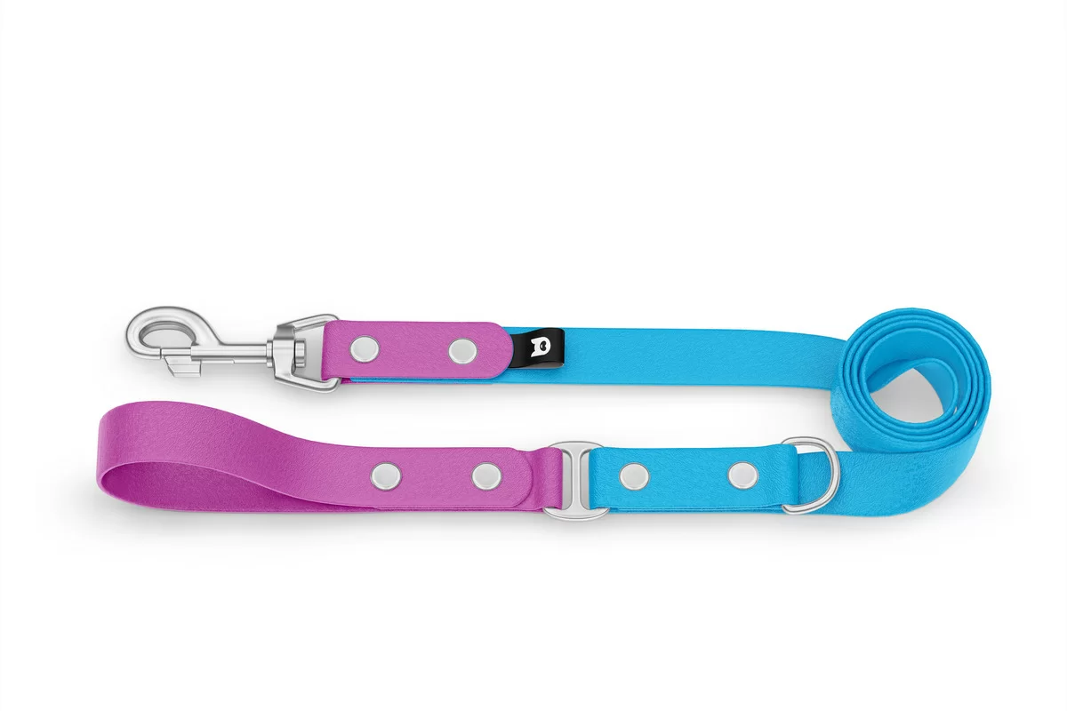 Duo-Leine für Hunde: Hellviolett & Hellblau mit Komponenten aus Silber