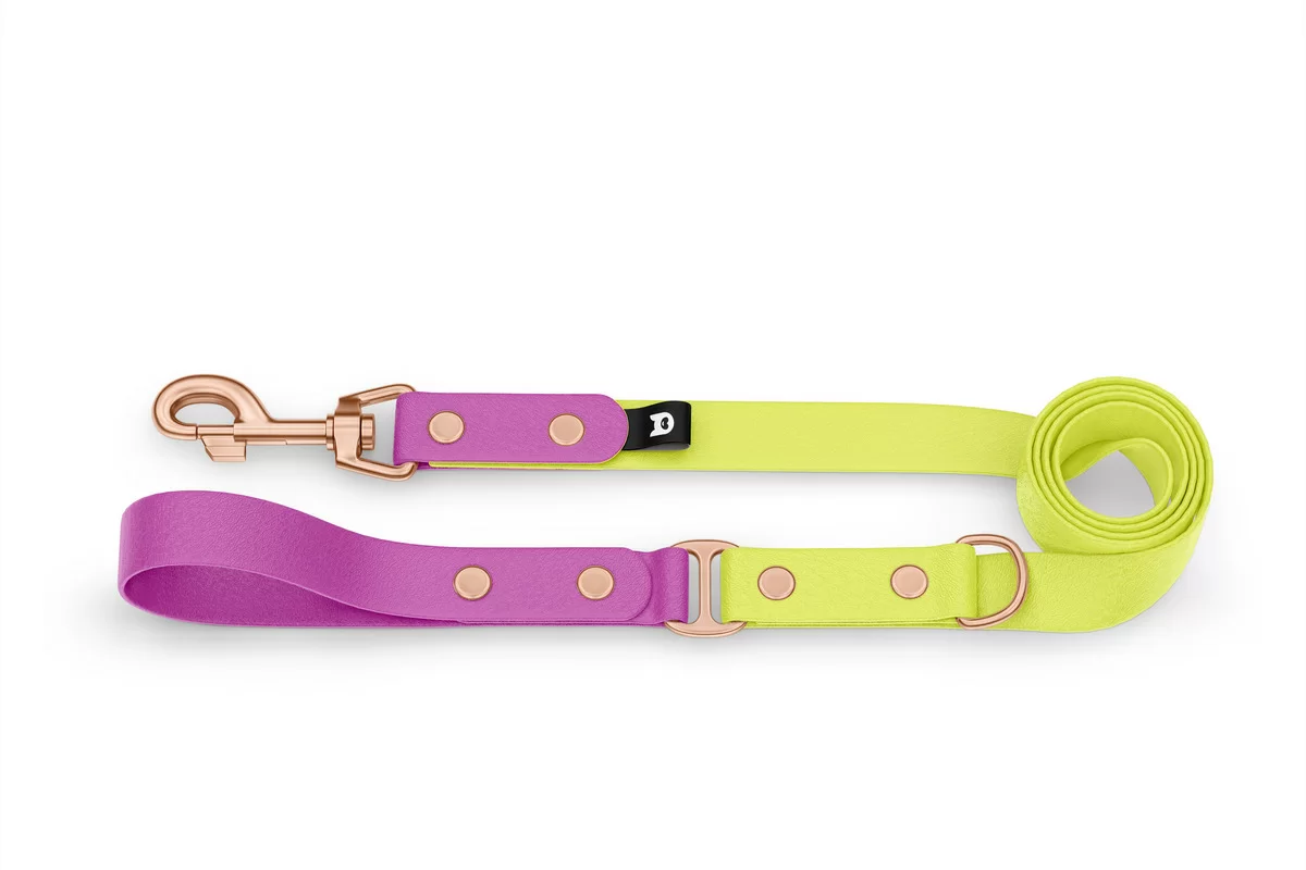 Duo-Leine für Hunde: Hellviolett & Neongelb mit Komponenten aus Rosegold