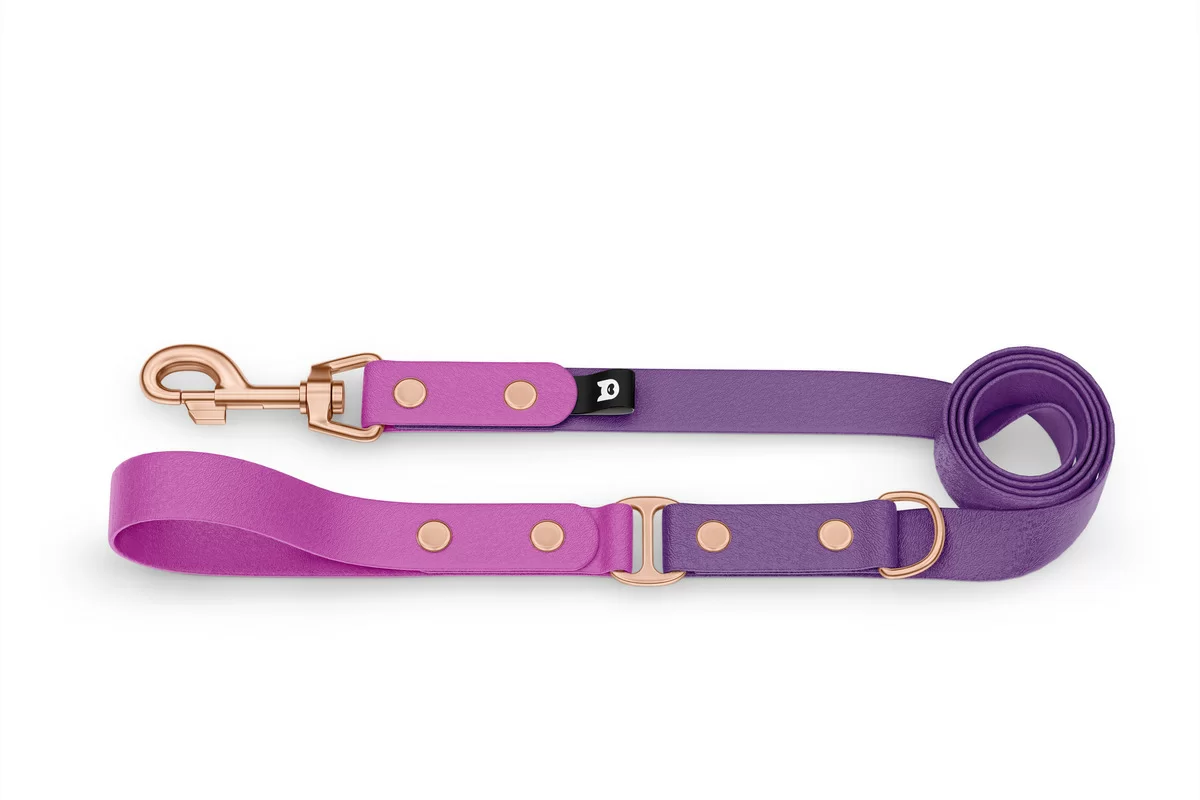 Duo-Leine für Hunde: Hellviolett & Purpur mit Komponenten aus Rosegold