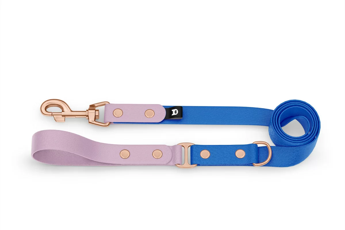 Duo-Leine für Hunde: Flieder & Blau mit Komponenten aus Rosegold