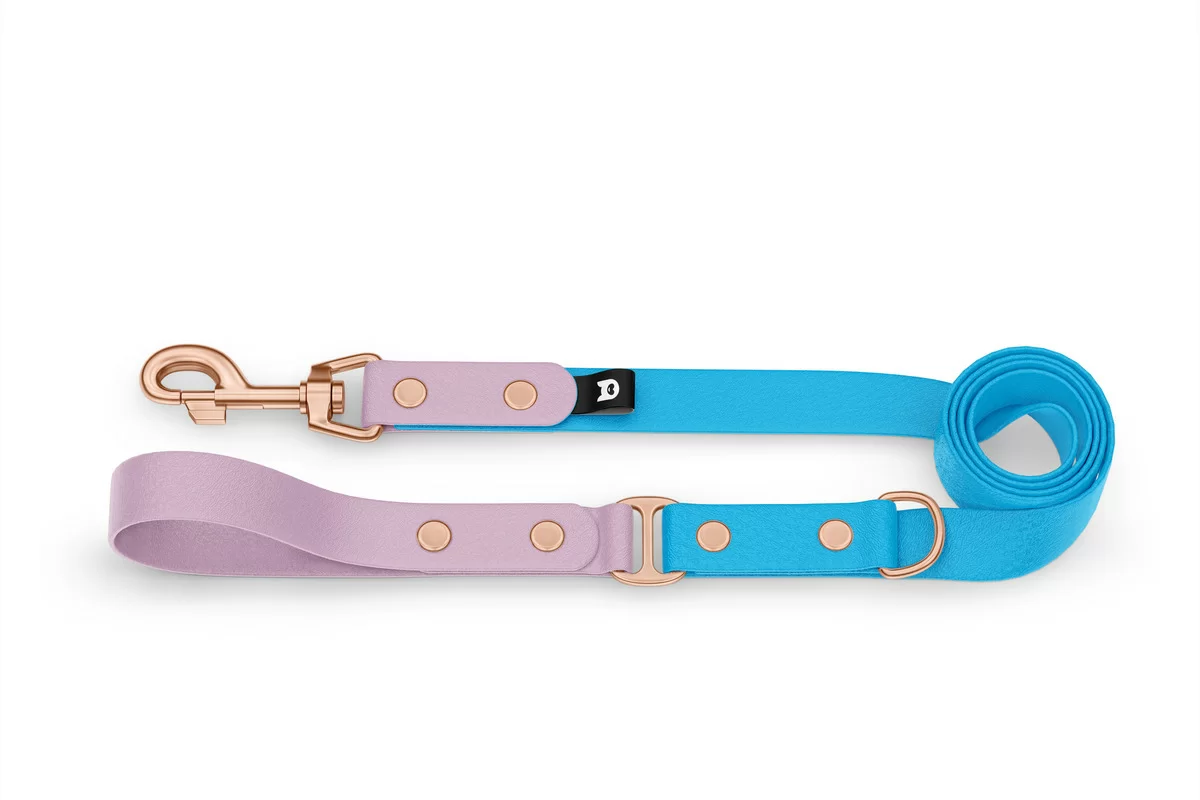 Duo-Leine für Hunde: Flieder & Hellblau mit Komponenten aus Rosegold