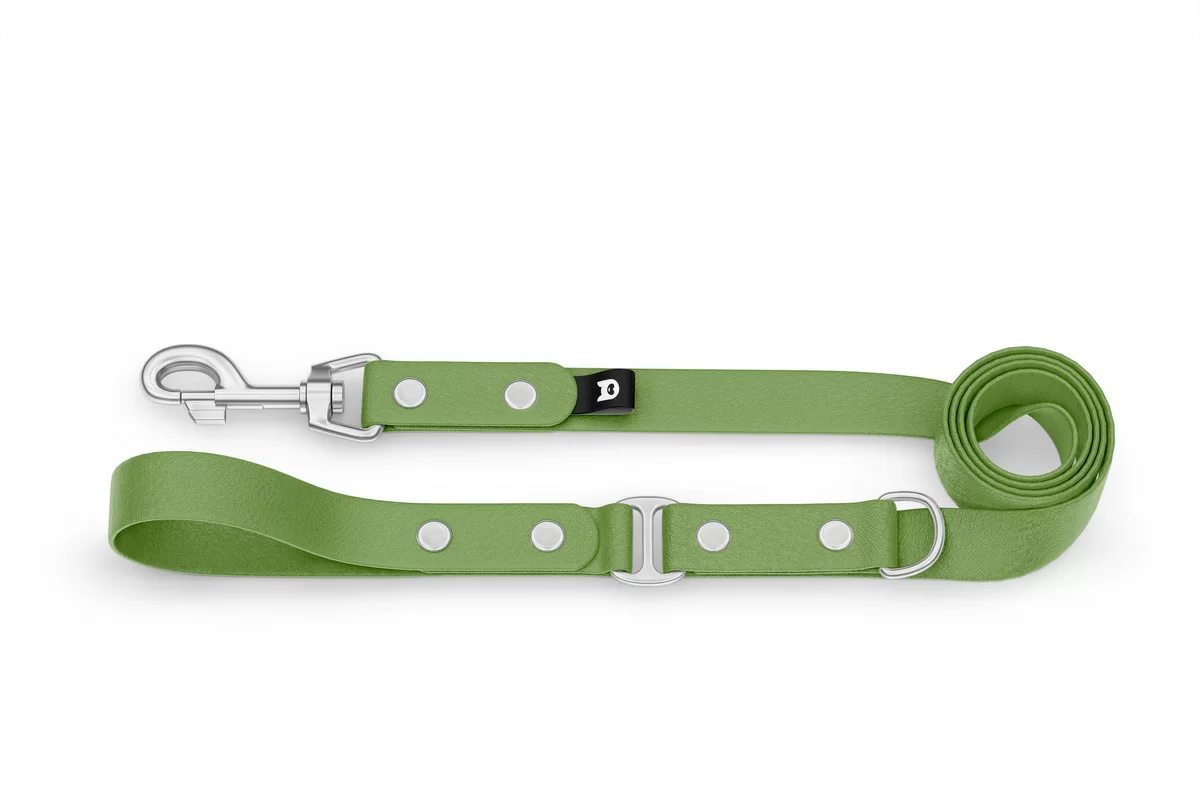 Duo-Leine für Hunde: Oliv & Oliv mit Komponenten aus Silber