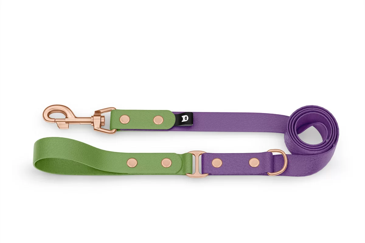 Duo-Leine für Hunde: Oliv & Purpur mit Komponenten aus Rosegold