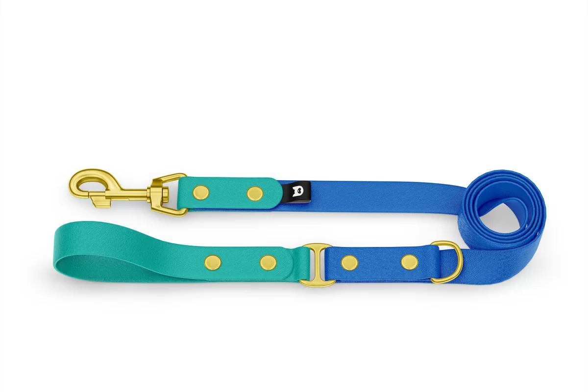 Duo-Leine für Hunde: Pastellgrün & Blau mit Komponenten aus Gold