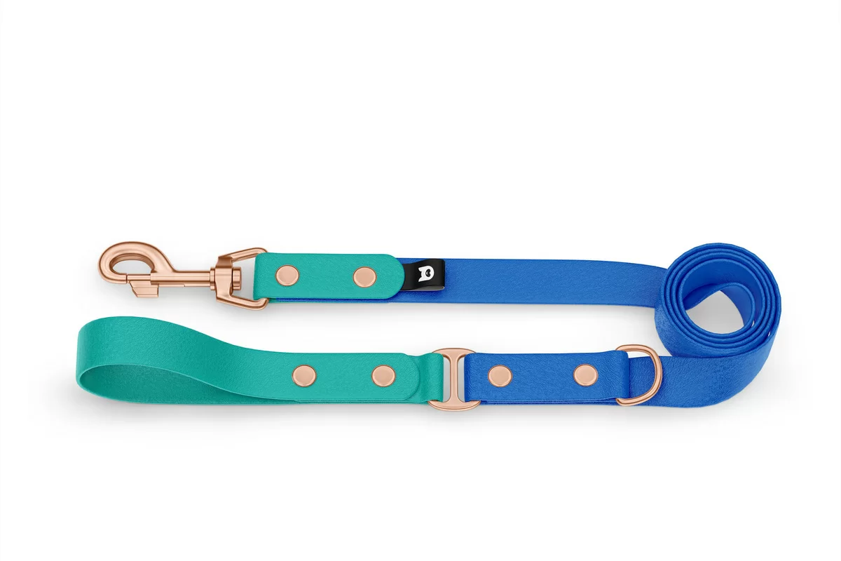Duo-Leine für Hunde: Pastellgrün & Blau mit Komponenten aus Rosegold
