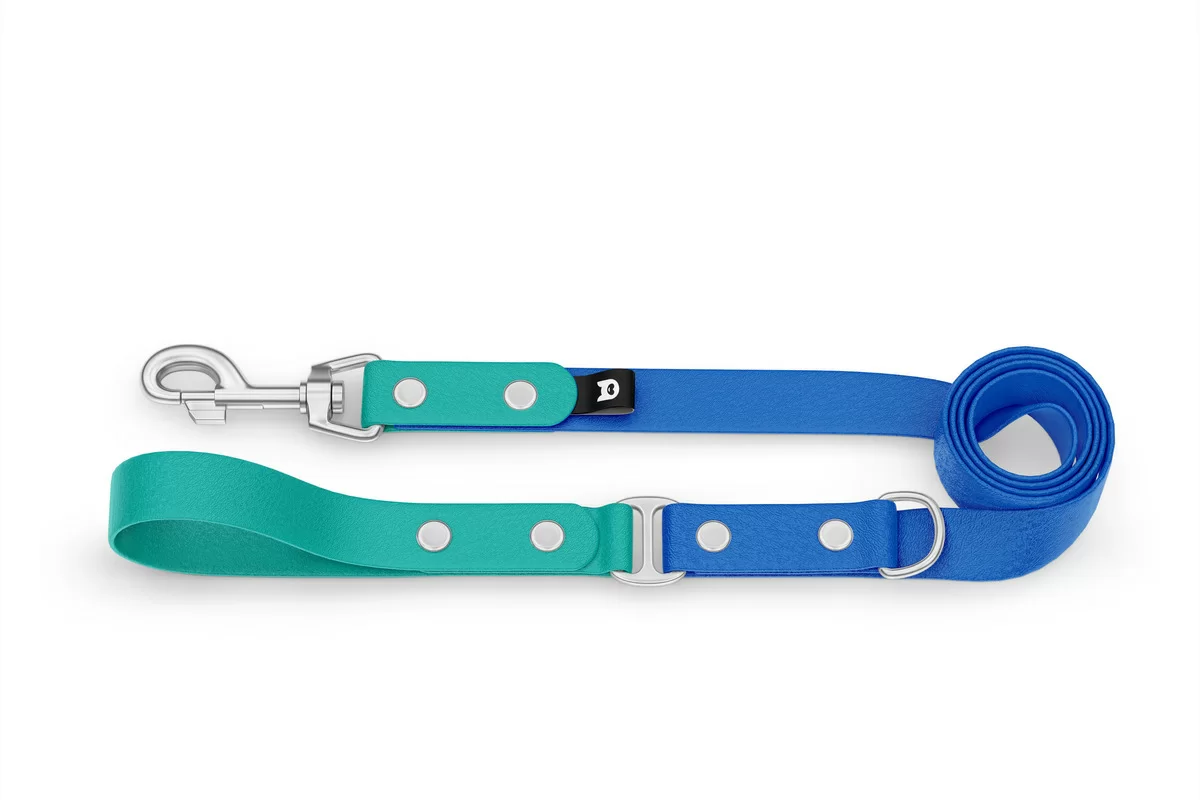 Duo-Leine für Hunde: Pastellgrün & Blau mit Komponenten aus Silber