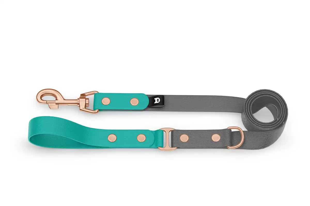 Duo-Leine für Hunde: Pastellgrün & Grau mit Komponenten aus Rosegold
