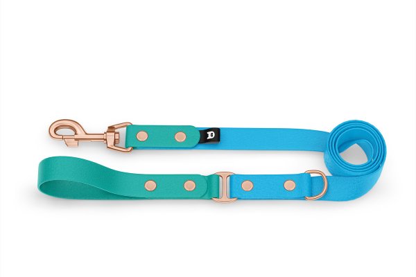 Duo-Leine für Hunde: Pastellgrün & Hellblau mit Komponenten aus Rosegold