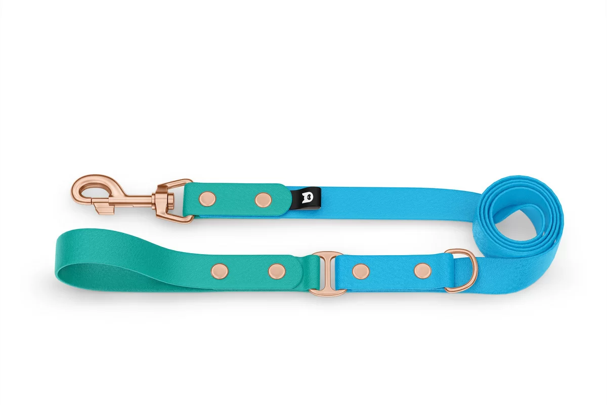 Duo-Leine für Hunde: Pastellgrün & Hellblau mit Komponenten aus Rosegold