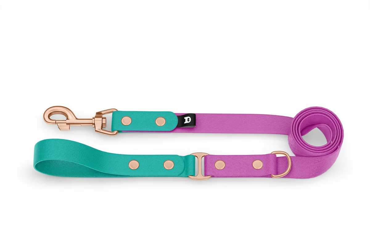 Duo-Leine für Hunde: Pastellgrün & Hellviolett mit Komponenten aus Rosegold