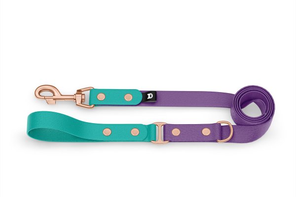 Duo-Leine für Hunde: Pastellgrün & Purpur mit Komponenten aus Rosegold