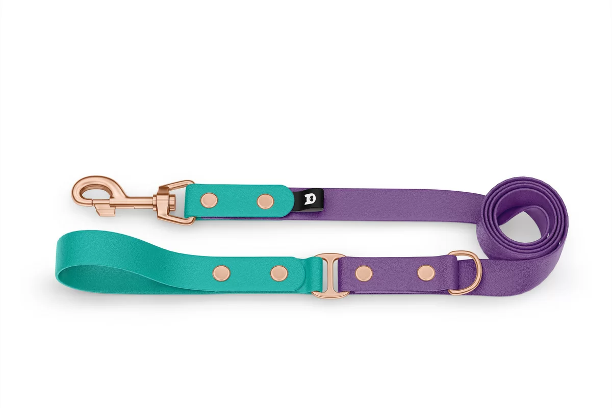 Duo-Leine für Hunde: Pastellgrün & Purpur mit Komponenten aus Rosegold