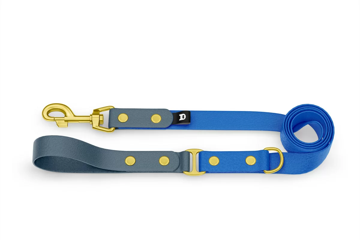Duo-Leine für Hunde: Petrol & Blau mit Komponenten aus Gold
