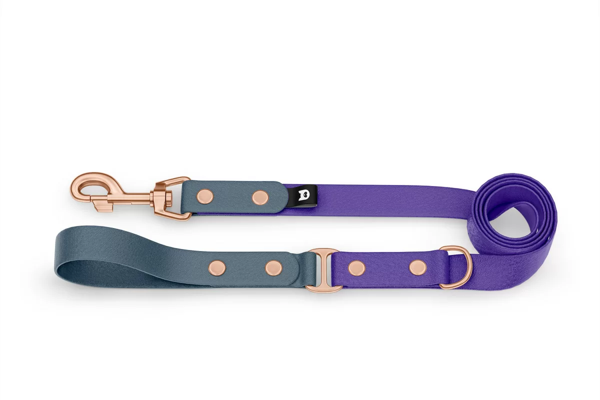 Duo-Leine für Hunde: Petrol & Violett mit Komponenten aus Rosegold