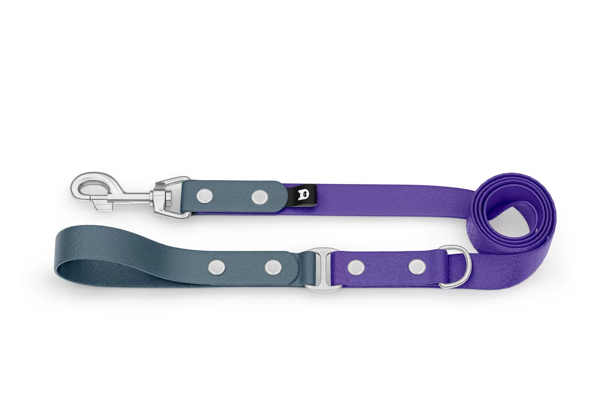 Duo-Leine für Hunde: Petrol & Violett mit Komponenten aus Silber