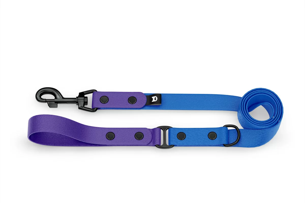 Duo-Leine für Hunde: Violett & Blau mit Komponenten aus Schwarz