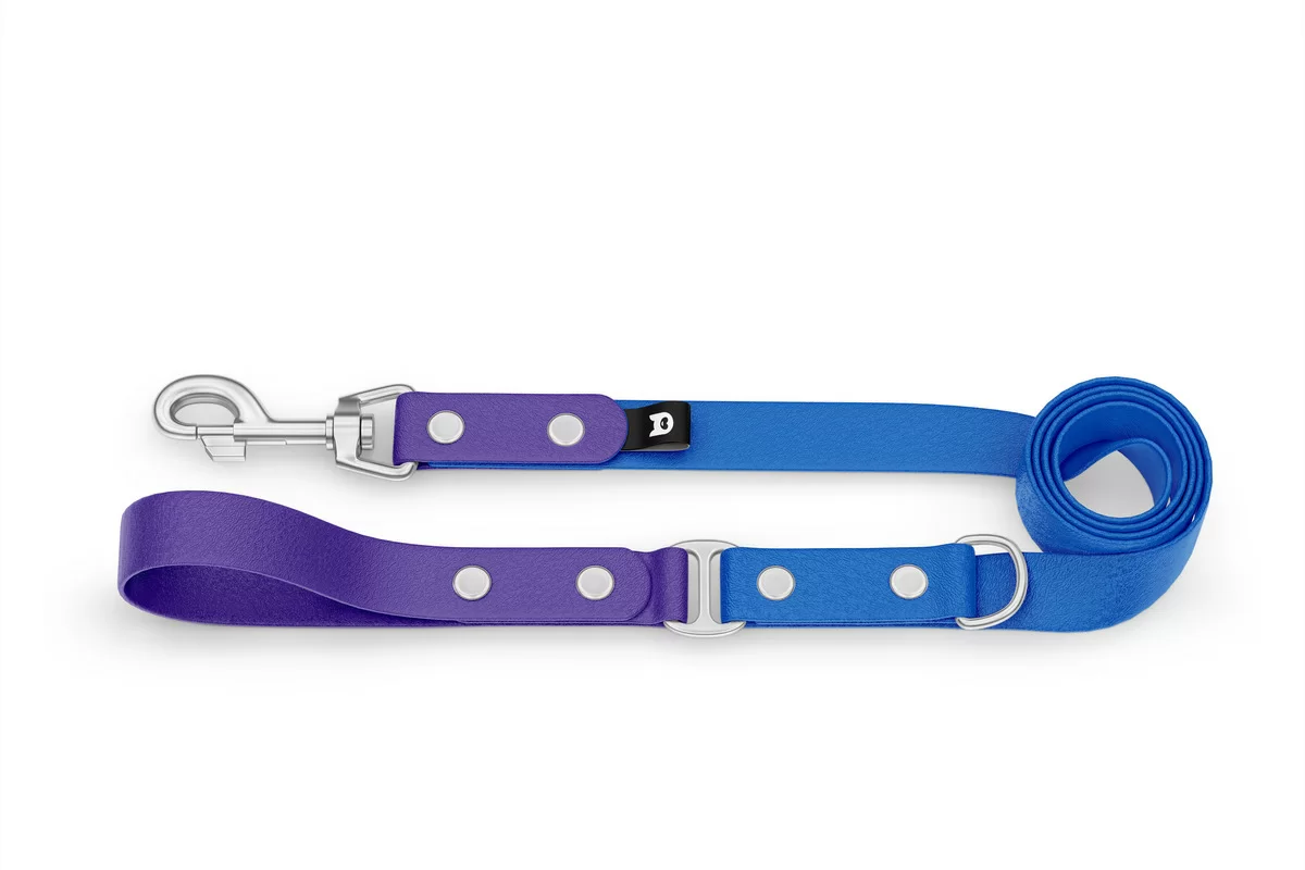 Duo-Leine für Hunde: Violett & Blau mit Komponenten aus Silber