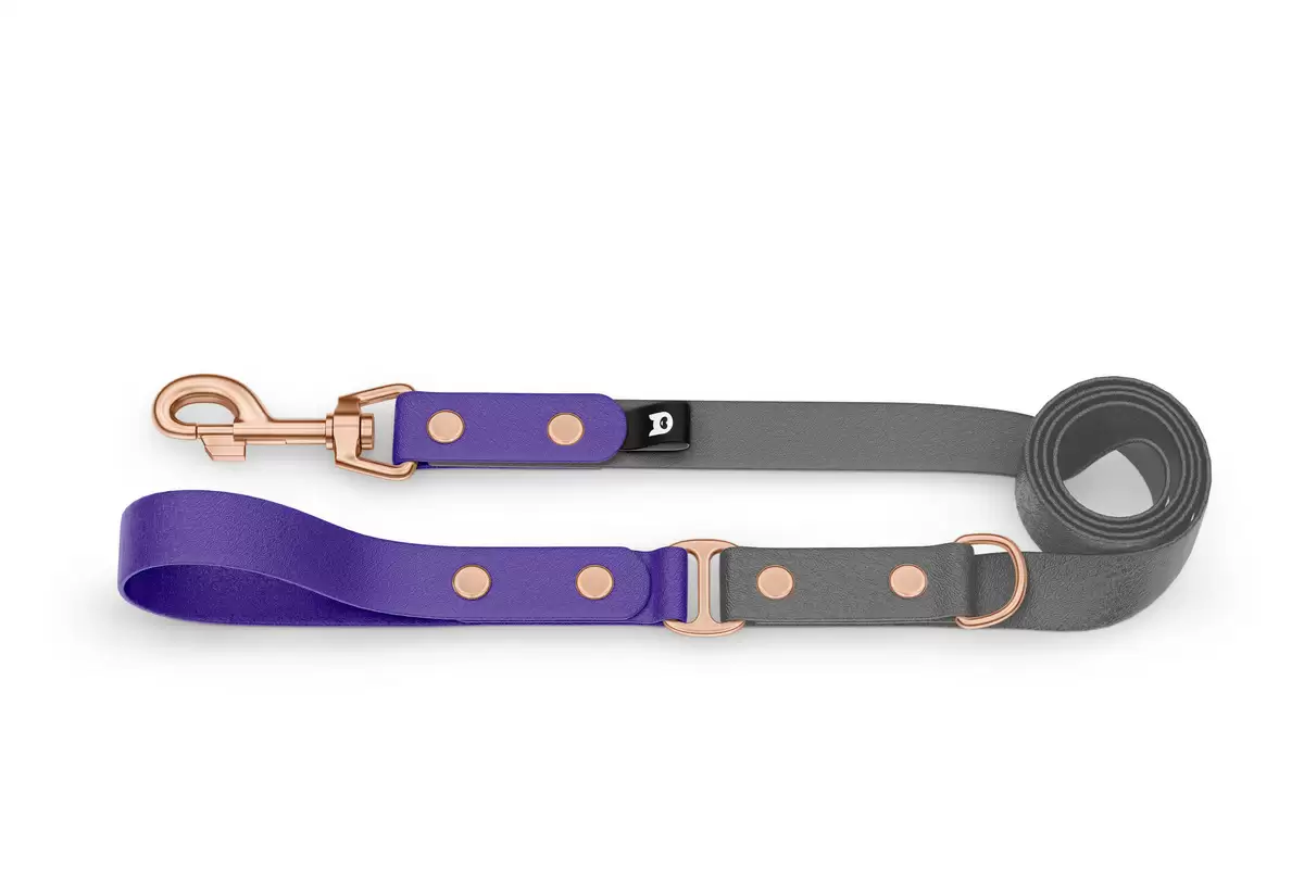 Duo-Leine für Hunde: Violett & Grau mit Komponenten aus Rosegold