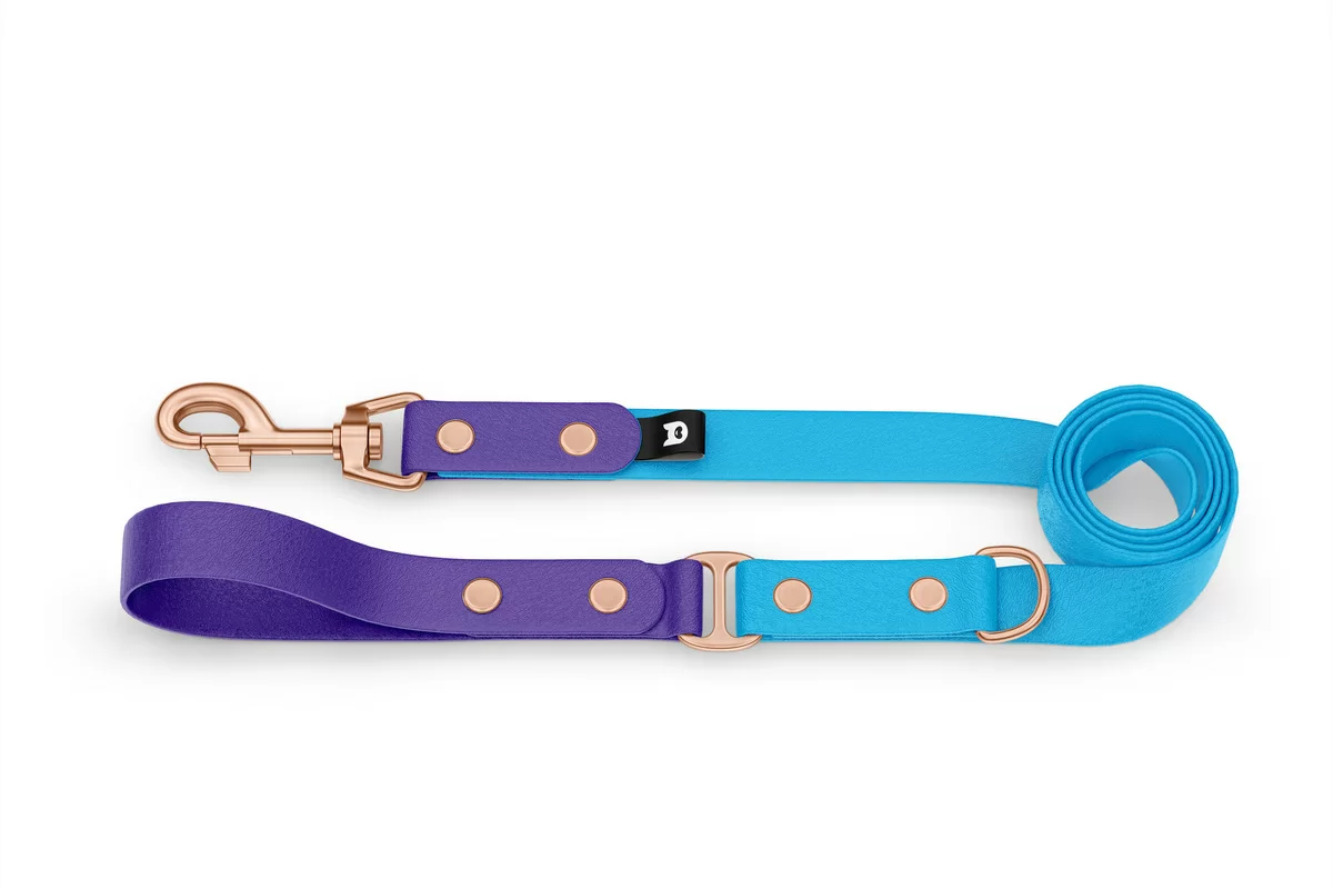 Duo-Leine für Hunde: Violett & Hellblau mit Komponenten aus Rosegold
