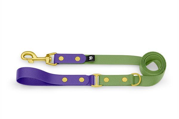 Duo-Leine für Hunde: Violett & Oliv mit Komponenten aus Gold