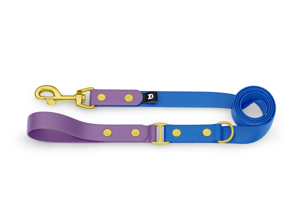 Duo-Leine für Hunde: Purpur & Blau mit Komponenten aus Gold