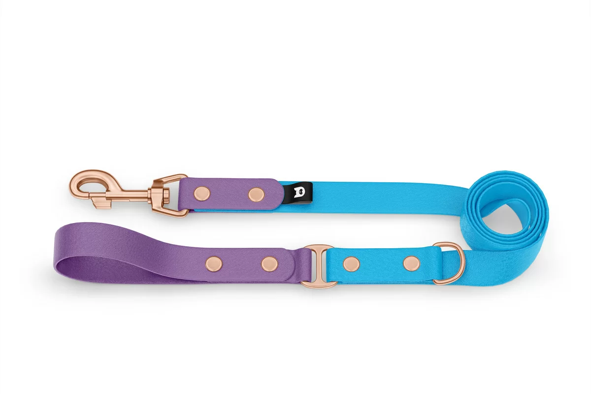 Duo-Leine für Hunde: Purpur & Hellblau mit Komponenten aus Rosegold