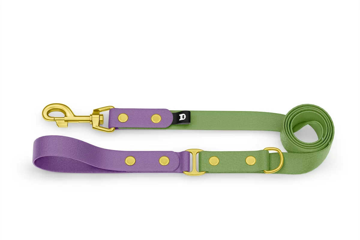 Duo-Leine für Hunde: Purpur & Oliv mit Komponenten aus Gold