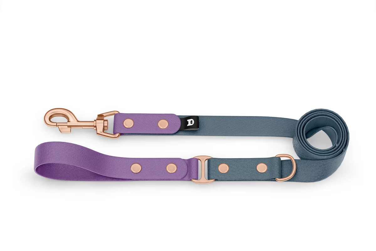 Duo-Leine für Hunde: Purpur & Petrol mit Komponenten aus Rosegold