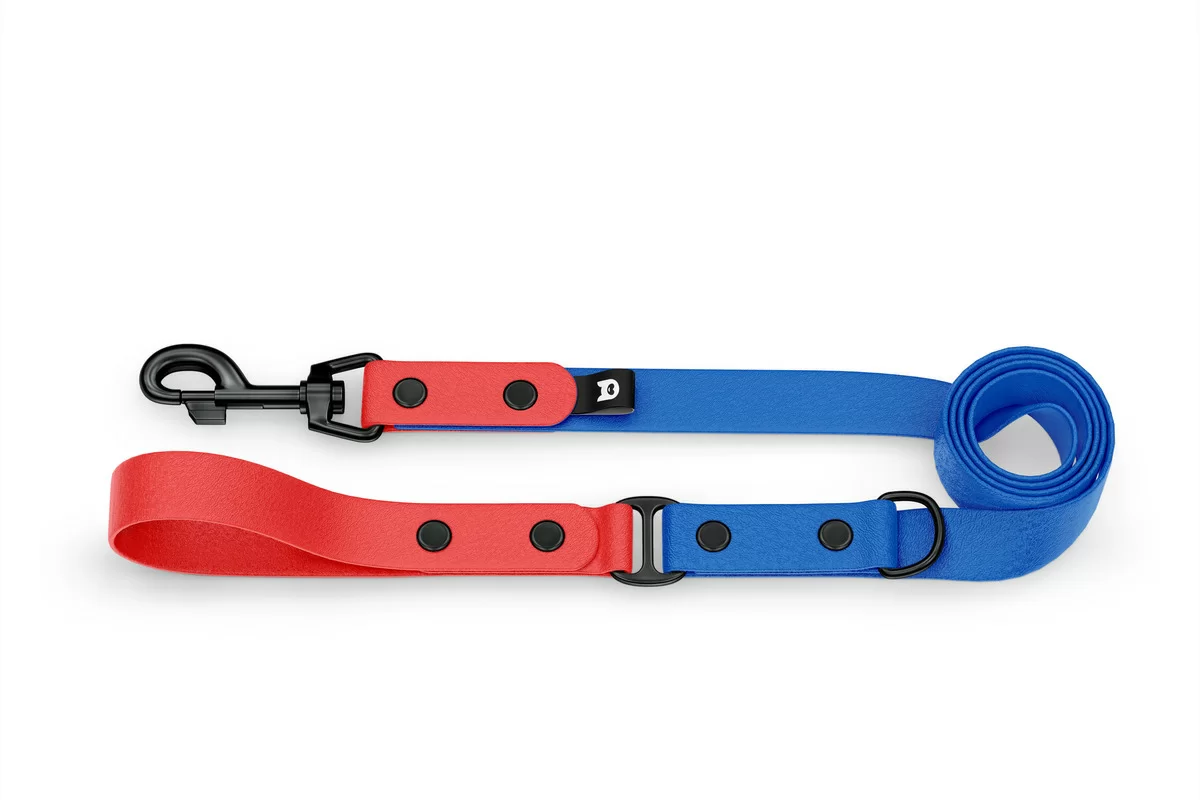 Duo-Leine für Hunde: Rot & Blau mit Komponenten aus Schwarz