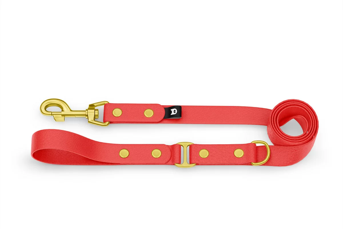 Leine Duo Abenteuer