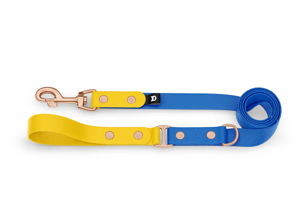 Duo-Leine für Hunde: Gelb & Blau mit Komponenten aus Rosegold