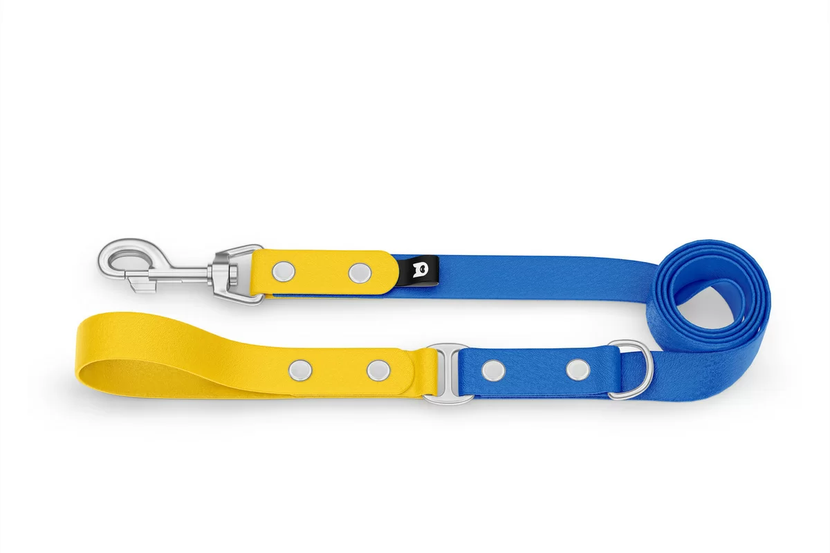 Duo-Leine für Hunde: Gelb & Blau mit Komponenten aus Silber