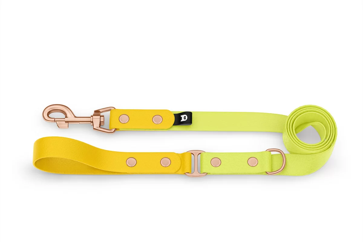 Duo-Leine für Hunde: Gelb & Neongelb mit Komponenten aus Rosegold