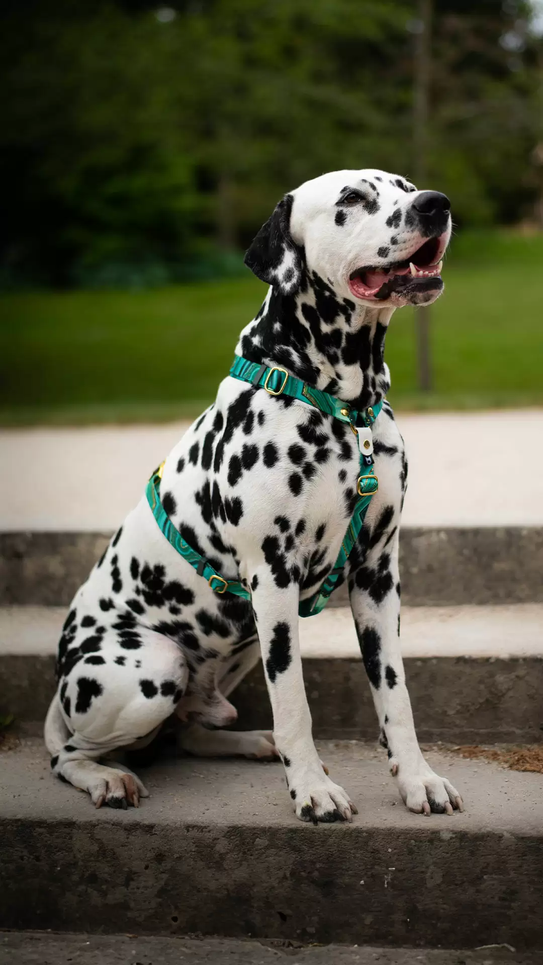/images/photos/collections/cyl-jade-4.jpg - CYL 4