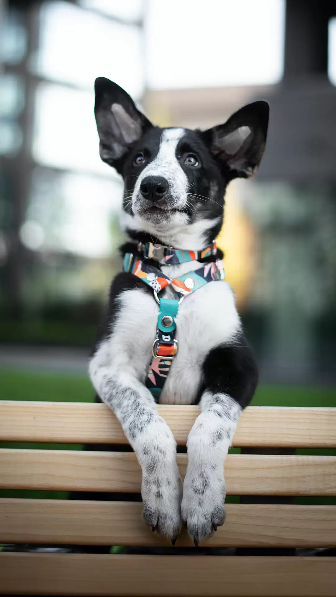 /images/photos/collections/cyl-teal-3.jpg - CYL 3