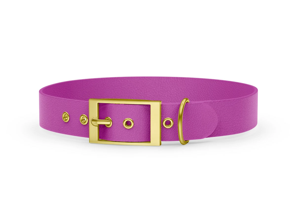 Hundehalsband Abenteuer