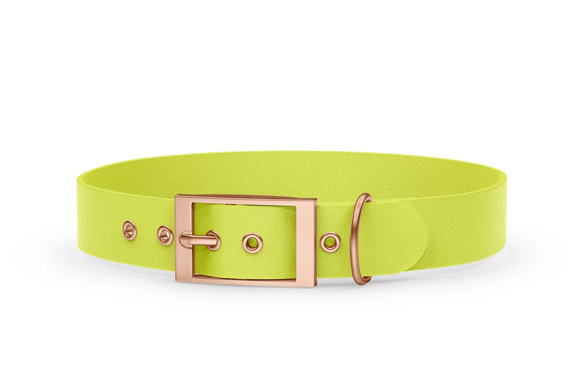 Hundehalsband Abenteuer