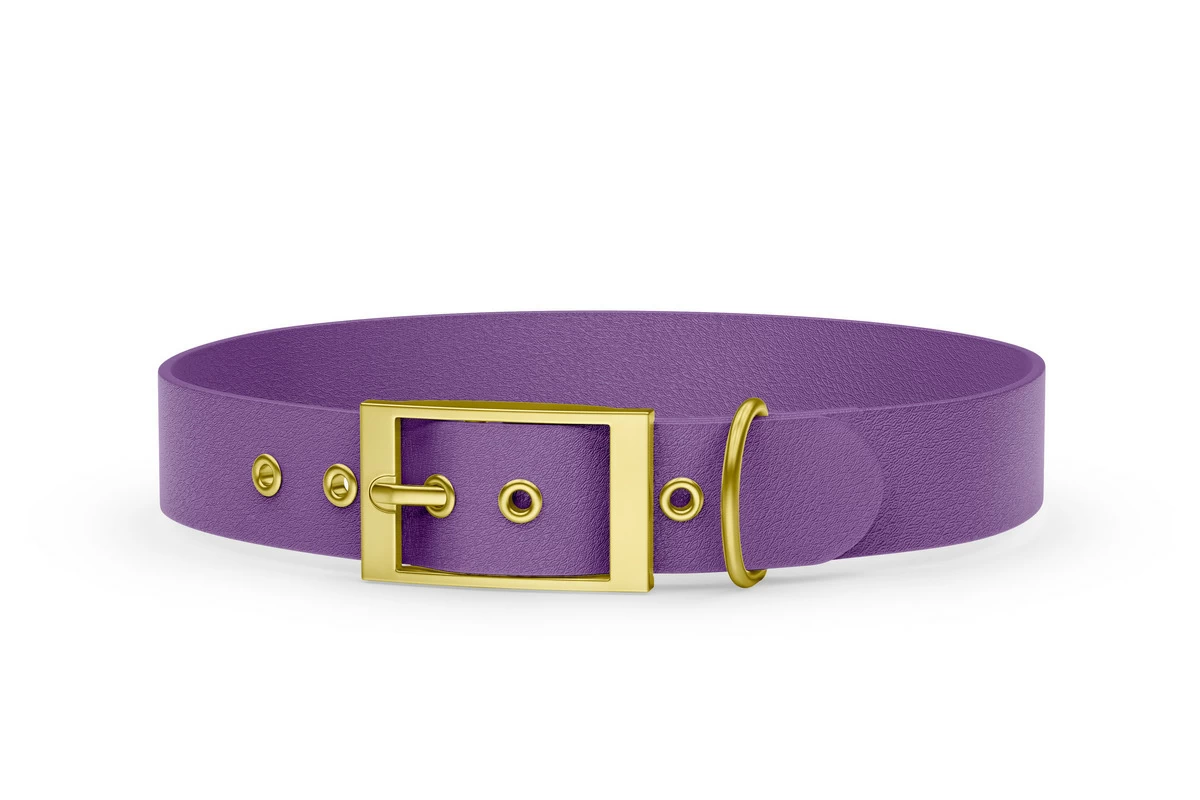 Hundehalsband Abenteuer