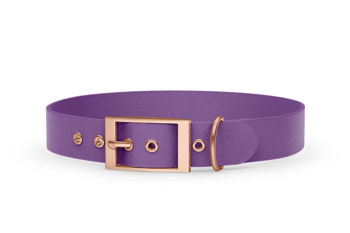 Hundehalsband Abenteuer