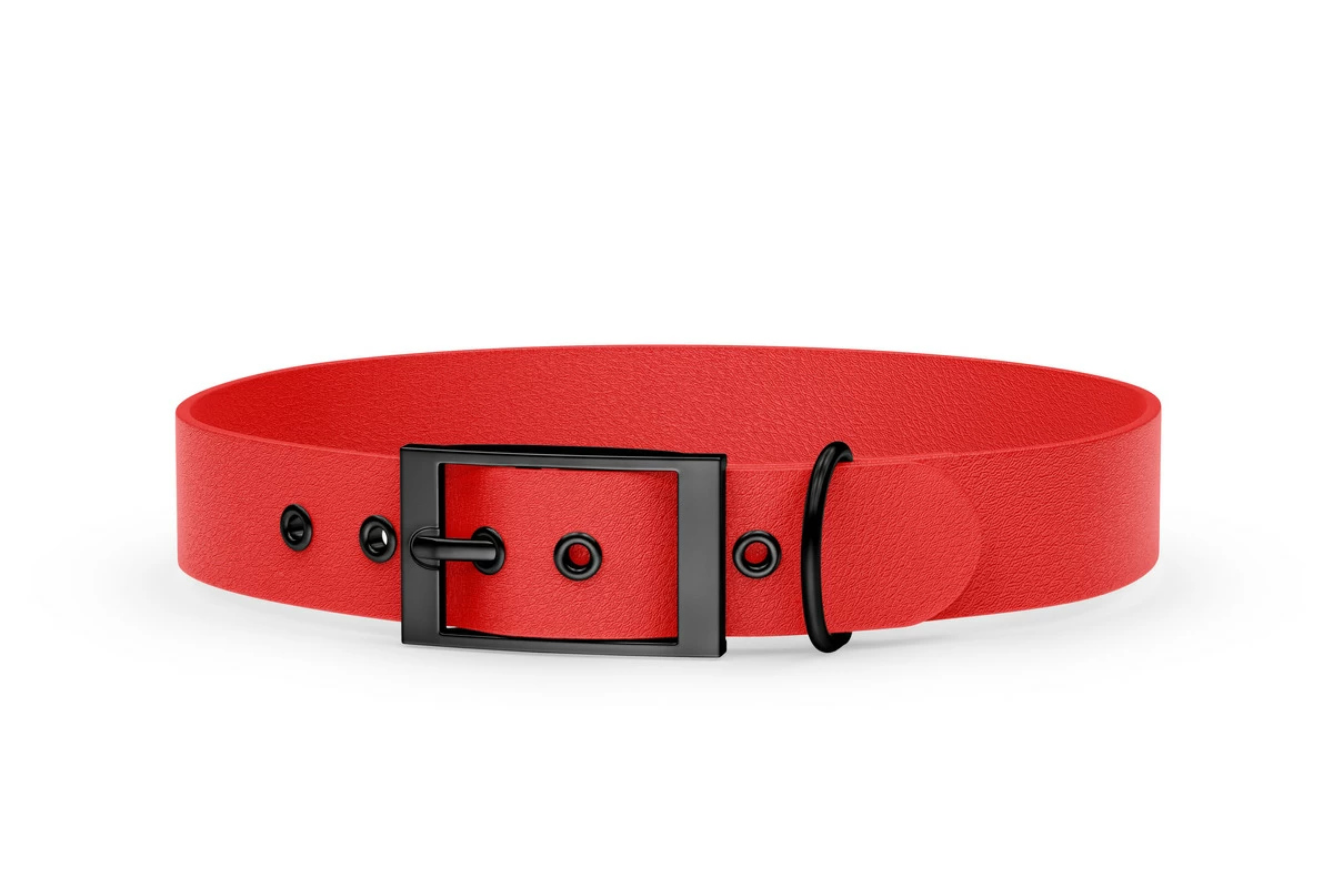 Hundehalsband Abenteuer