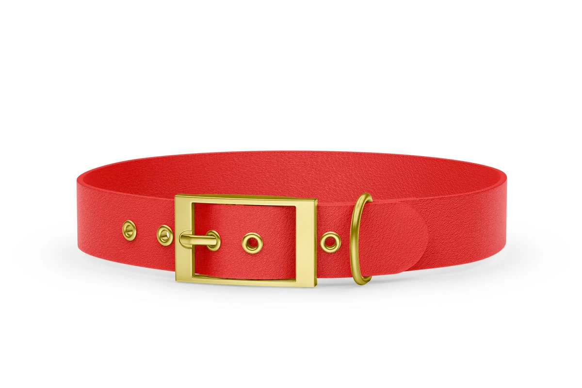 Hundehalsband Abenteuer