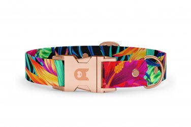 Halsband Basic Kollektion Eden