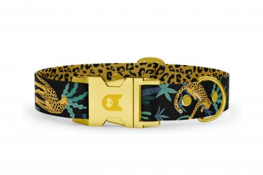 Halsband Basic Kollektion Jaguar