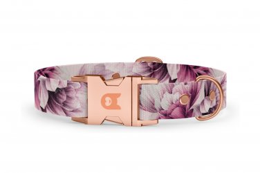 Halsband Basic Kollektion Magnolia
