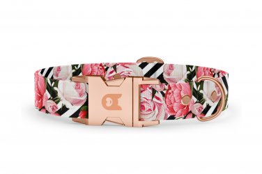 Halsband Basic Kollektion Roses
