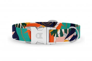 Halsband Basic Kollektion Teal